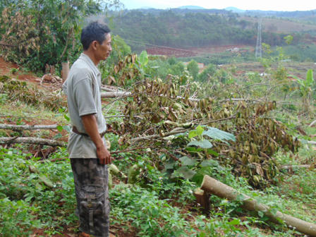 Cuộc giải phóng mặt bằng gây phẫn nộ ở Đắk Nông